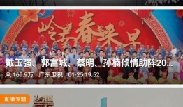 揭西今日爆料新闻视频播放,视频揭秘当地热点事件